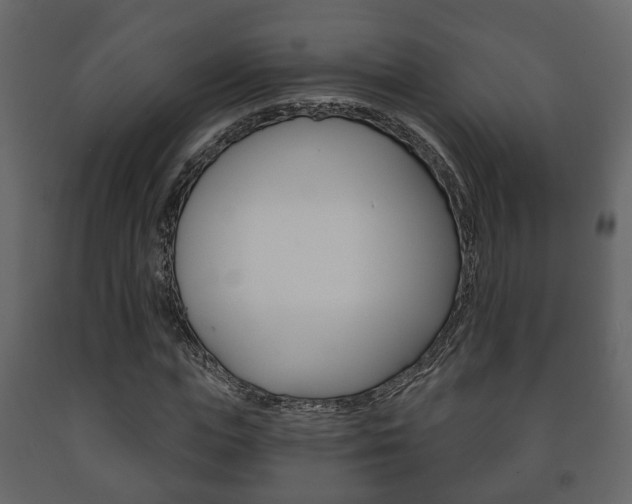 X0000091700823200708240931