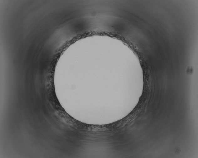 X0000091700824200708240931