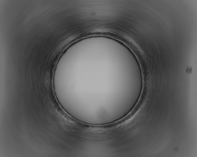 X0000091700825200708240931