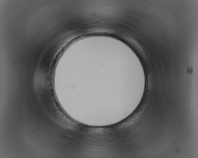 X0000091700828200708240931
