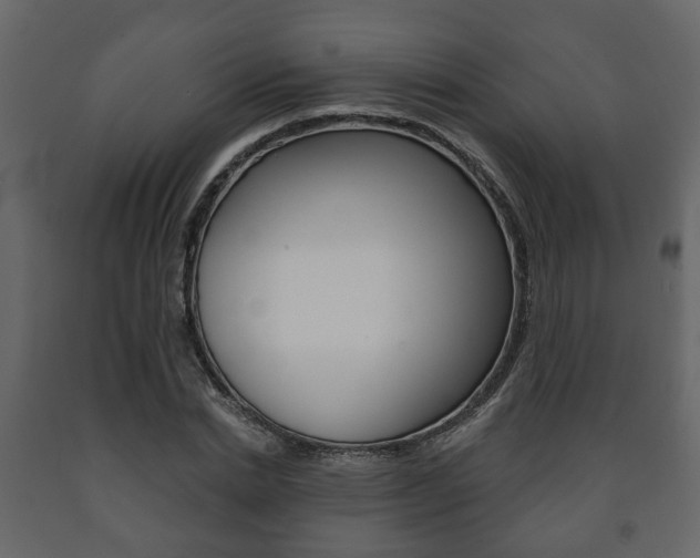 X0000091700830200708240931