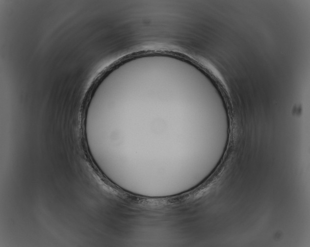 X0000091700831200708240931