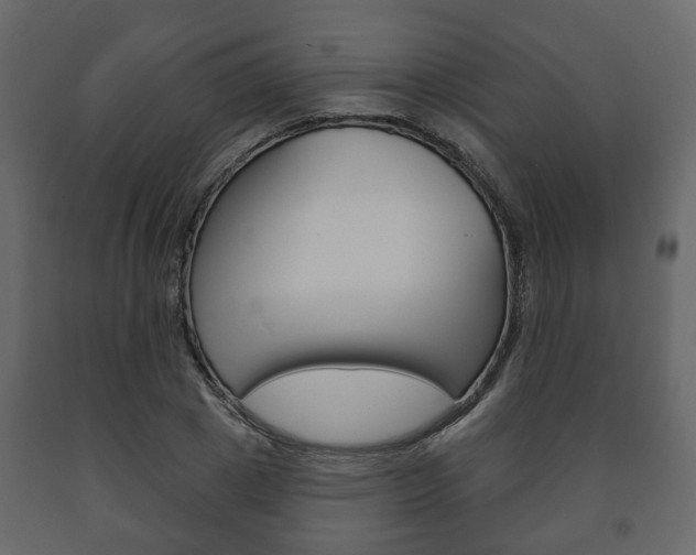 X0000091700833200708240931