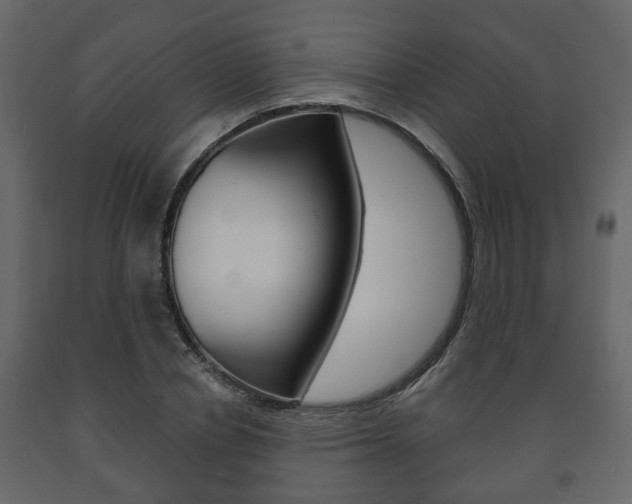 X0000091700834200708240932