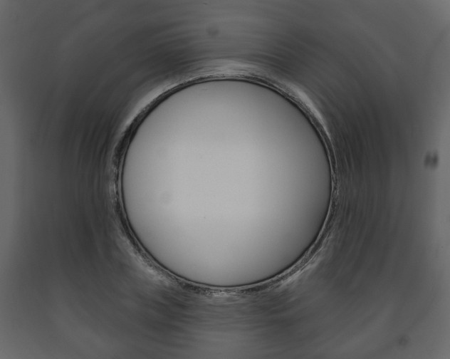 X0000091700835200708240932
