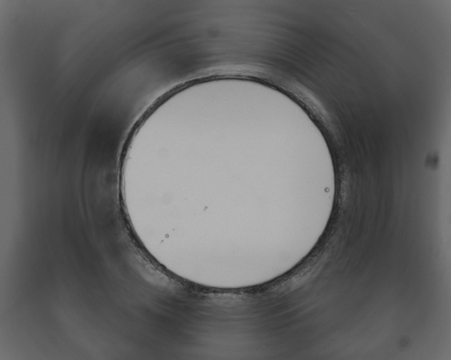 X0000091700836200708240932