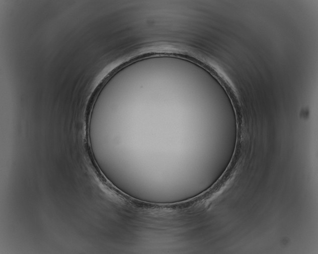 X0000091700837200708240932