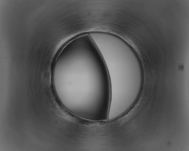 X0000091700838200708240932