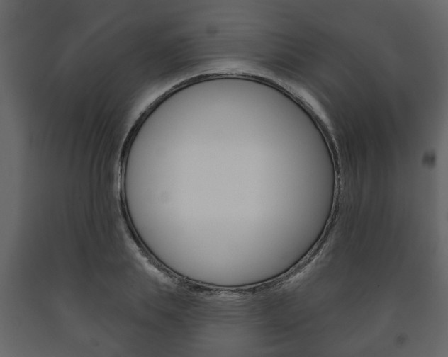 X0000091700839200708240932