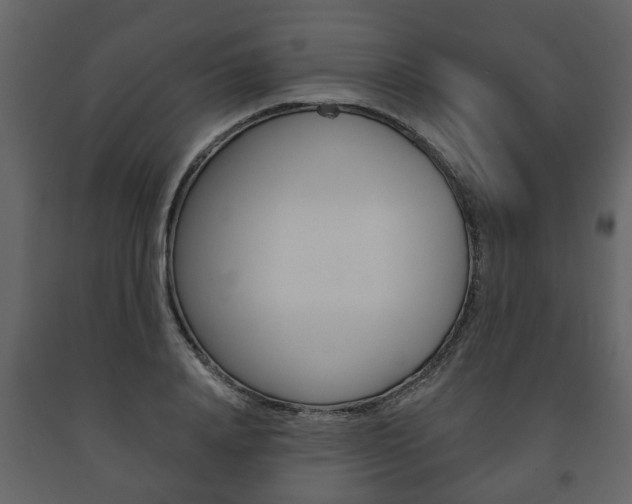 X0000091700840200708240932