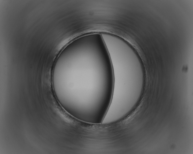 X0000091700842200708240932