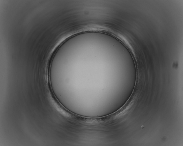 X0000091700843200708240932