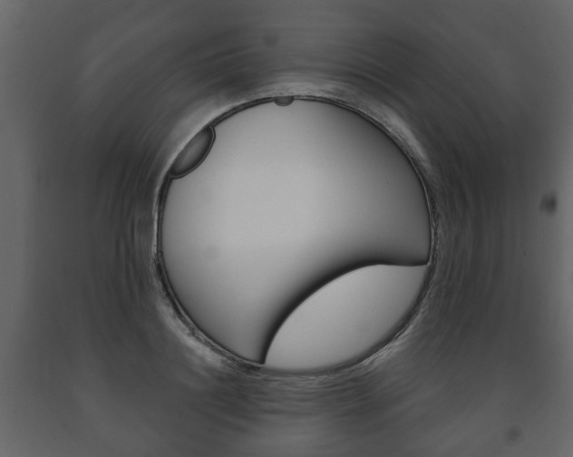 X0000091700844200708240932