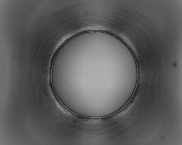 X0000091700845200708240932