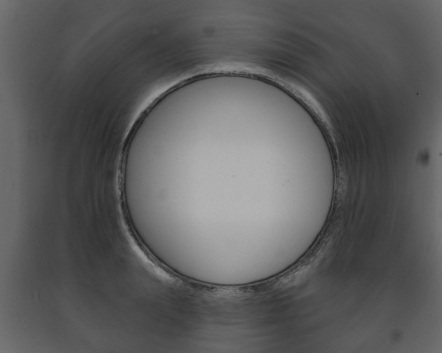 X0000091700847200708240932