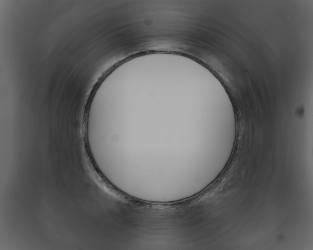 X0000091700848200708240932