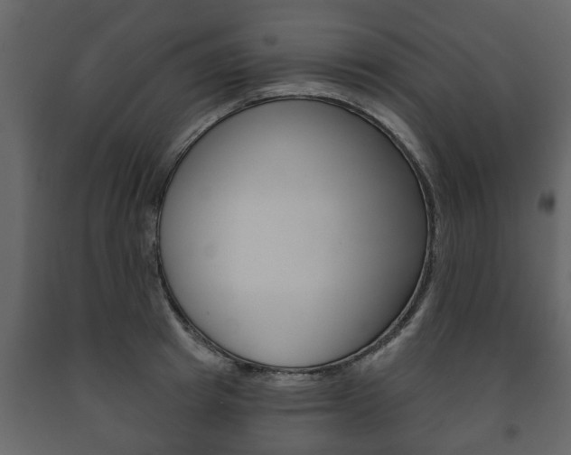 X0000091700849200708240932