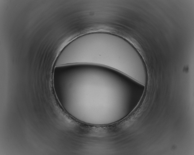 X0000091700850200708240932