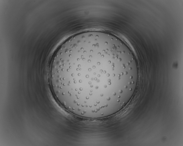 X0000091700851200708240932