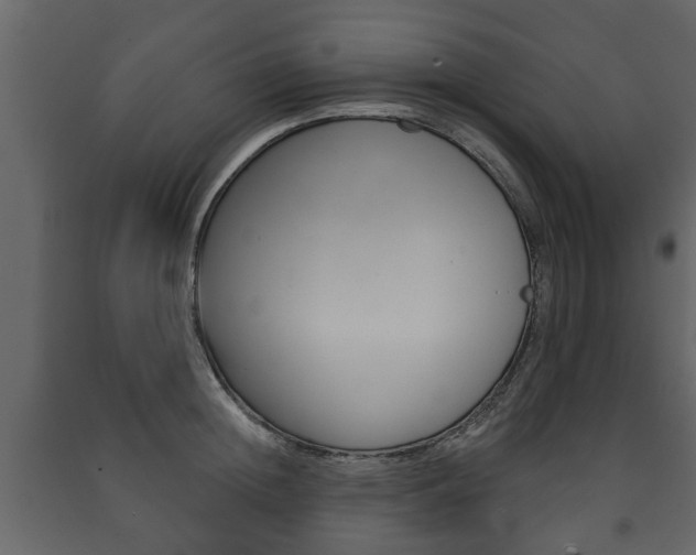 X0000091700852200708240932