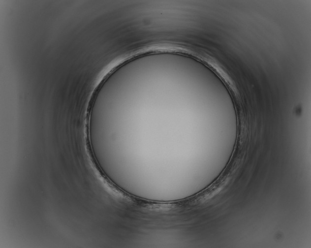 X0000091700853200708240932