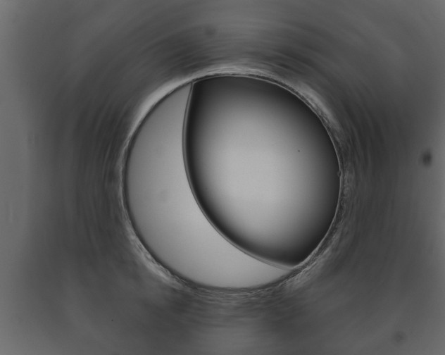 X0000091700854200708240932