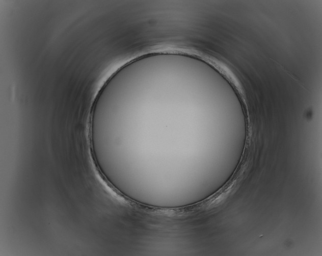 X0000091700855200708240932