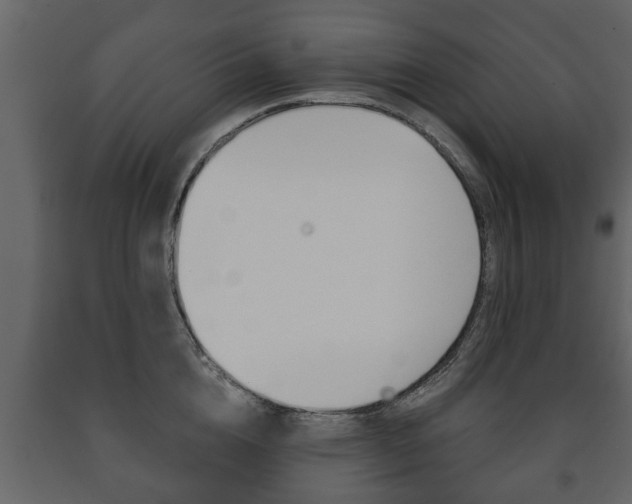 X0000091700856200708240932
