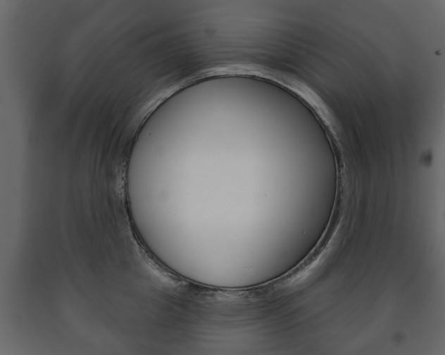 X0000091700857200708240932