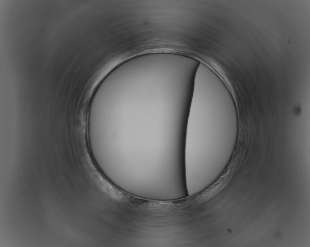 X0000091700859200708240932