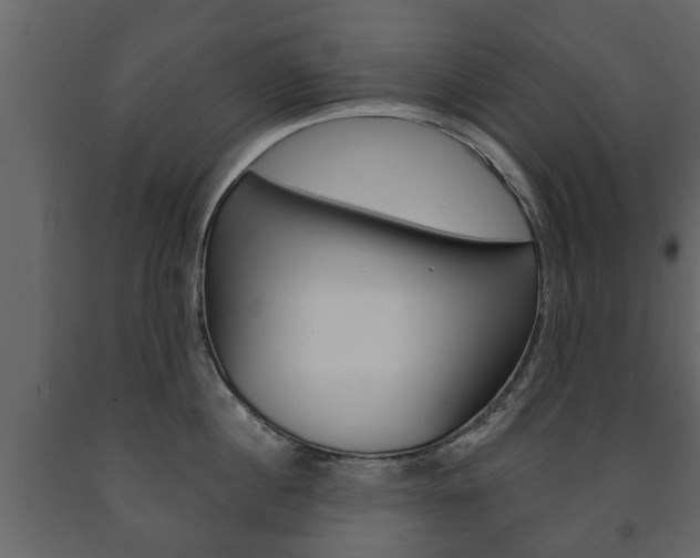 X0000091700860200708240932