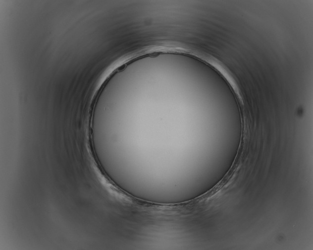 X0000091700861200708240932