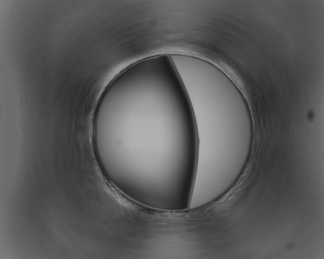 X0000091700862200708240932