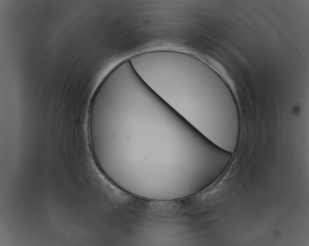 X0000091700863200708240932