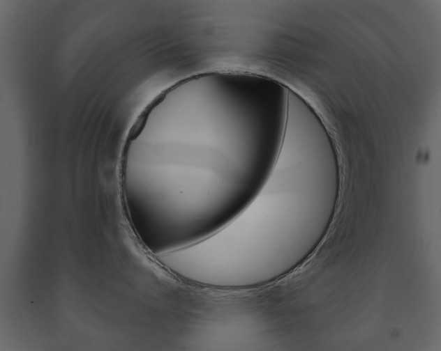 X0000091700864200708240932