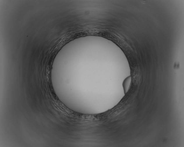 X0000091700866200708240931