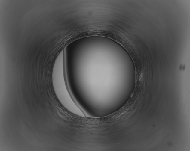 X0000091700868200708240931