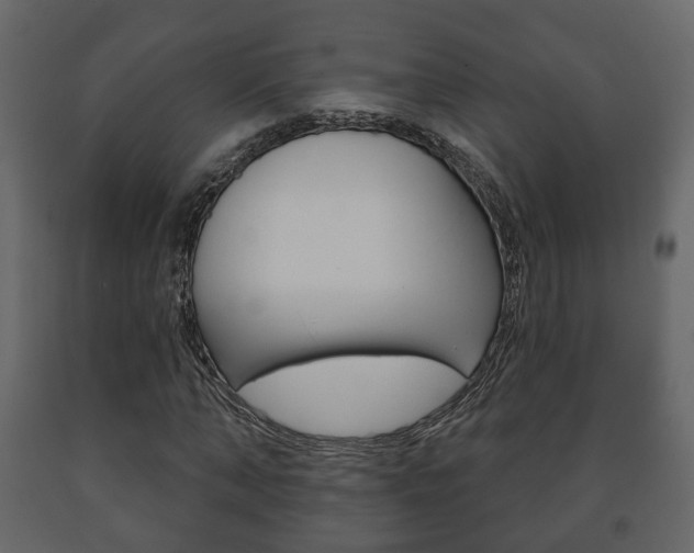 X0000091700870200708240931