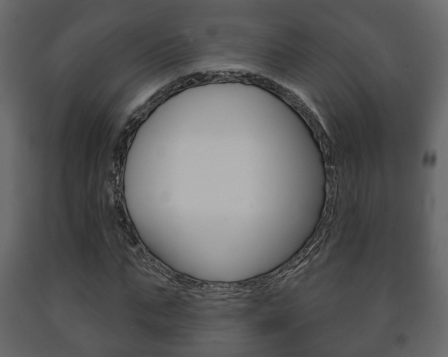 X0000091700871200708240931