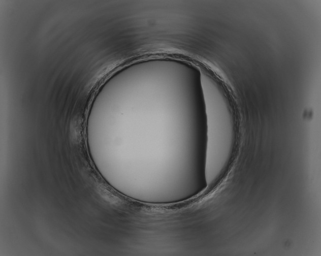 X0000091700873200708240931