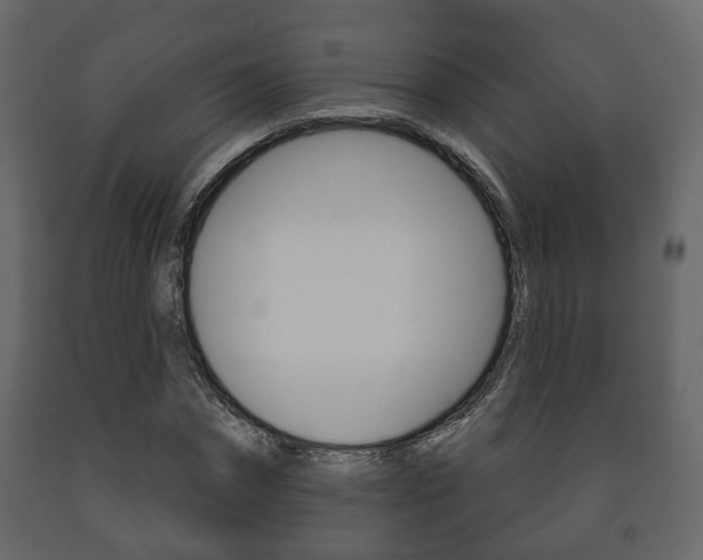 X0000091700874200708240931