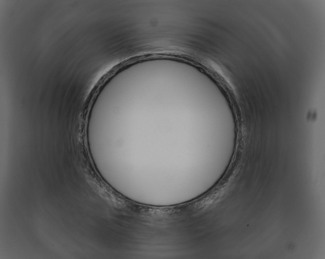 X0000091700875200708240931