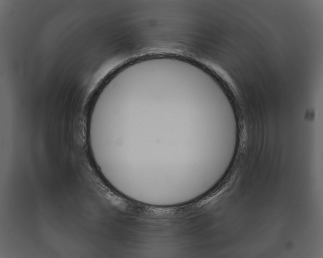 X0000091700878200708240931