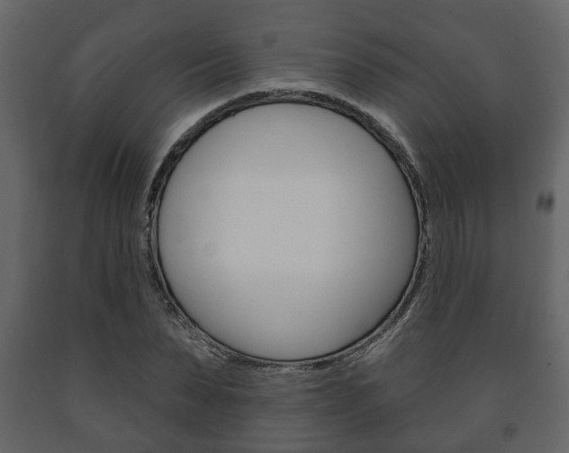 X0000091700879200708240931