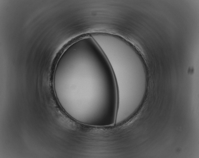 X0000091700880200708240931