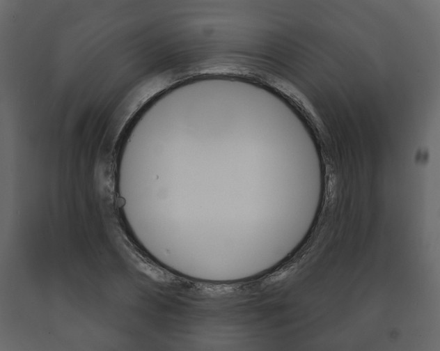 X0000091700882200708240931