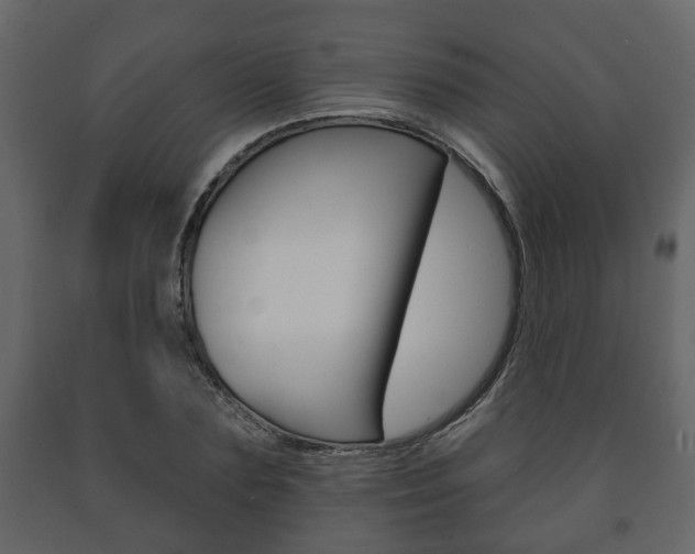 X0000091700883200708240931