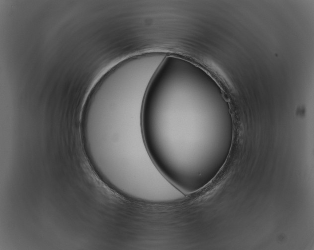 X0000091700884200708240931