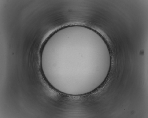 X0000091700886200708240931