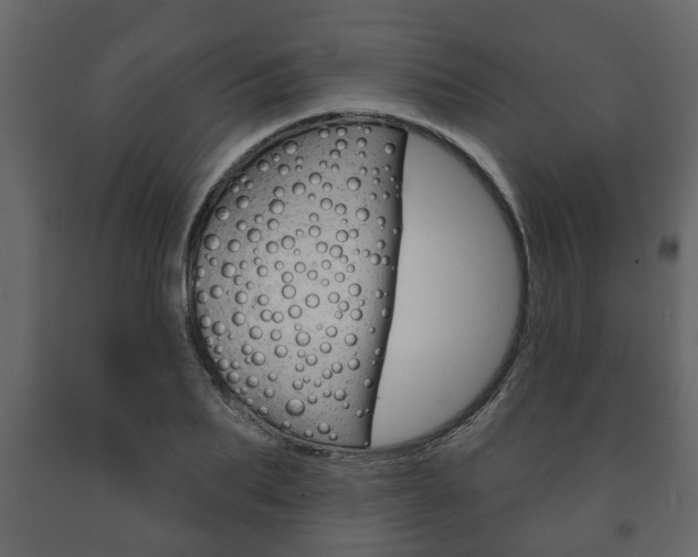 X0000091700887200708240931